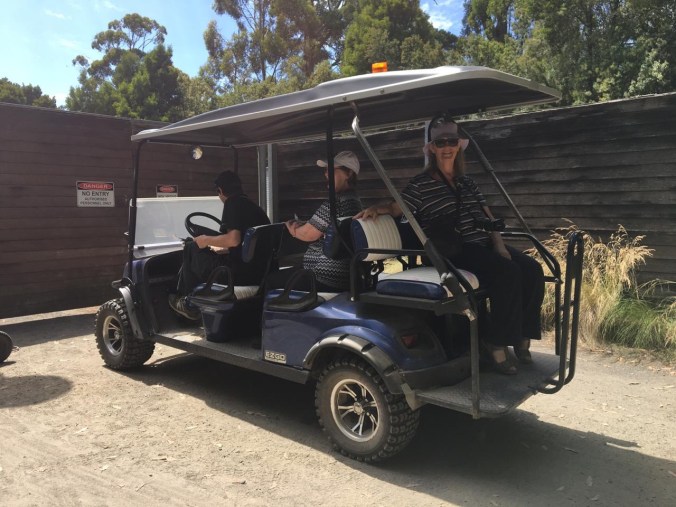 7cead874-ec8d-4e47-9733-e526f415f71f