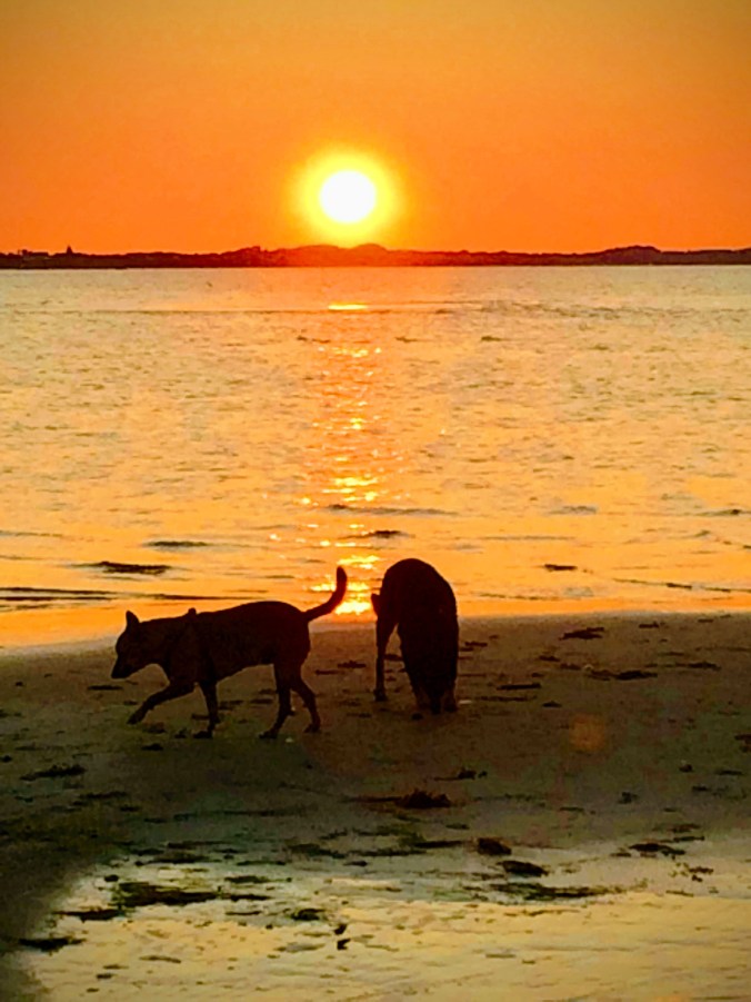 D7C57E71-DCDE-4935-A162-39B89BF13D70